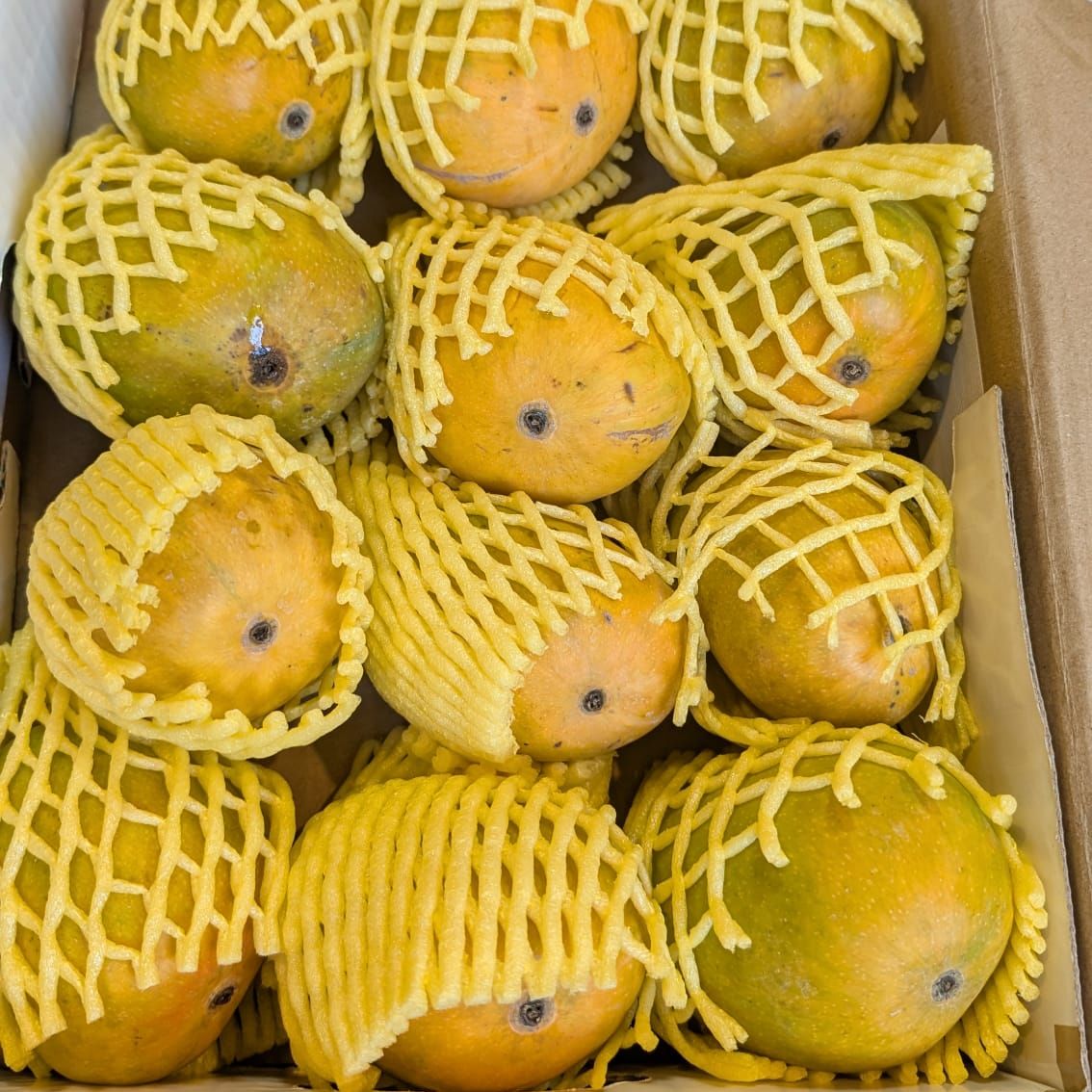 Alphonso Mangoes