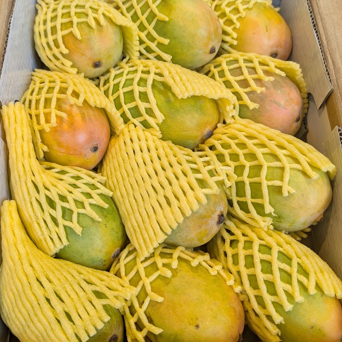 Kesar Mangoes